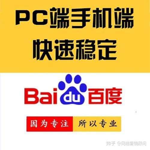 SEO搜索引擎优化第三版俞洋洋，从入门到精通的实战指南